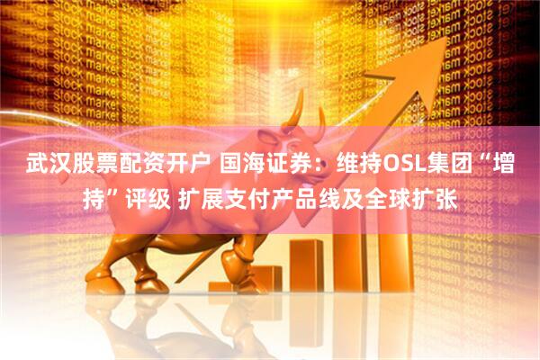 武汉股票配资开户 国海证券：维持OSL集团“增持”评级 扩展支付产品线及全球扩张