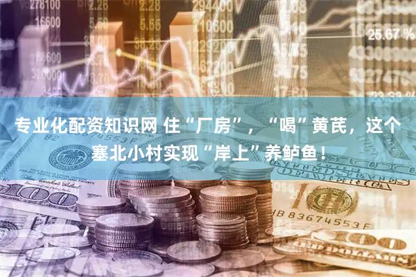 专业化配资知识网 住“厂房”，“喝”黄芪，这个塞北小村实现“岸上”养鲈鱼！